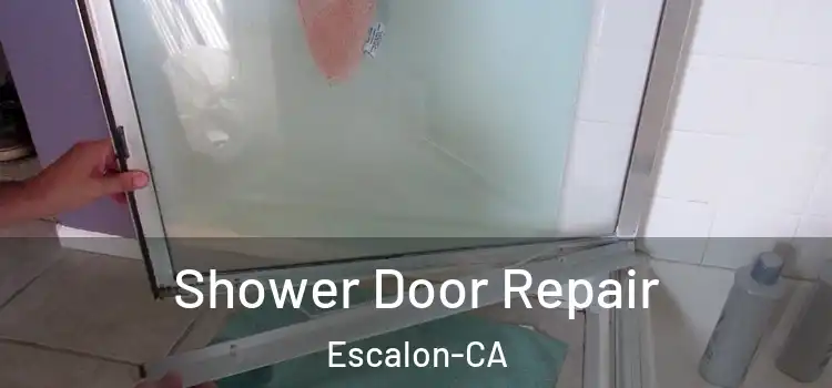  Shower Door Repair Escalon-CA